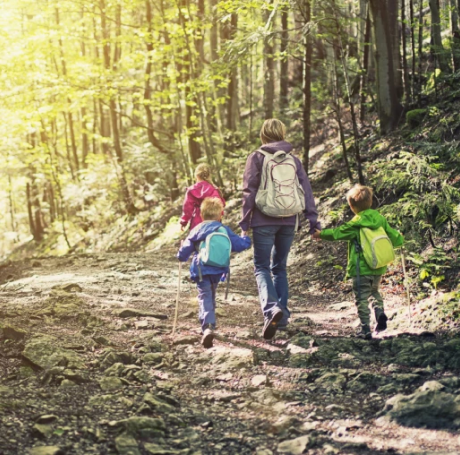 семейные прогулки по лесу